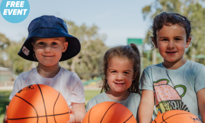 BASKETBALL IN THE PARK  