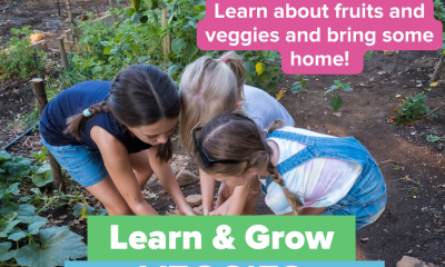 Learn & Grow - Fruits and Veggie Experience