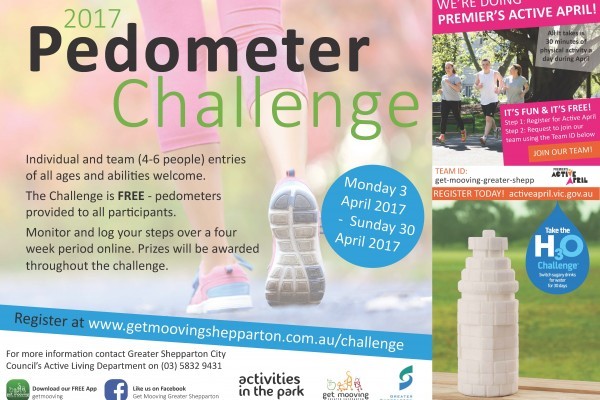 Pedometer Challenge Flyer 2017